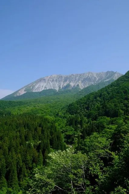 photo-2