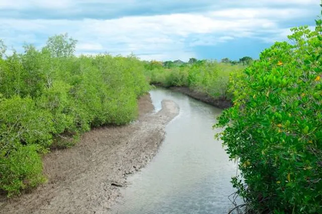Manglares de Estero Balsa National Park