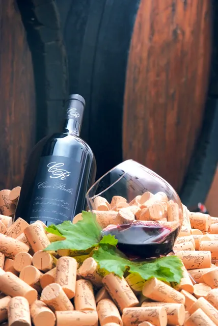 Tenda Degustació Can Rubí