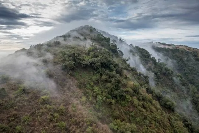 Ngong Hills Forest Reserve