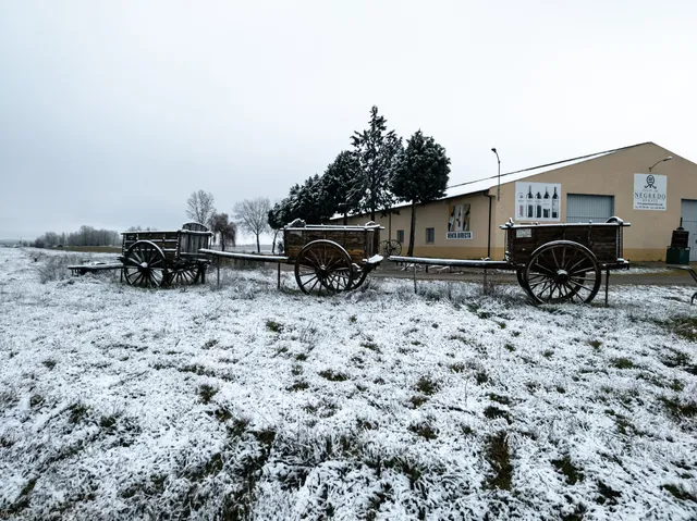 bodega pagos de negredo