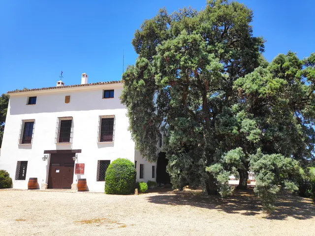 Finca Hoya de Cadenas
