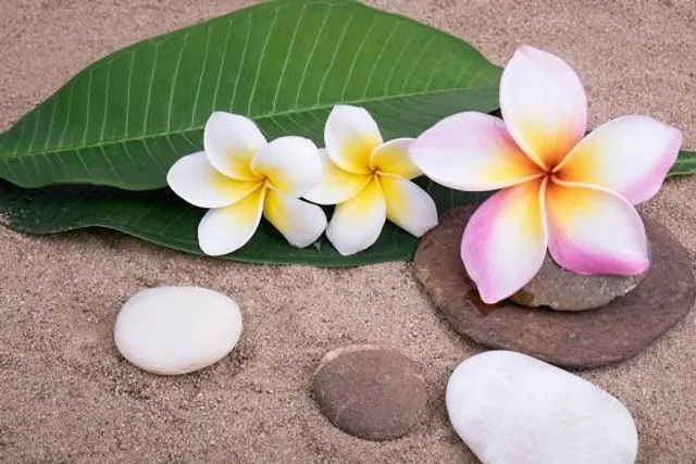 Birger Sandzén Memorial Art Gallery