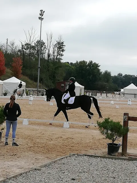 Parc Du Cheval Rhône-Alpes