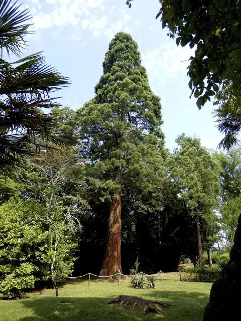 Panoramic Gardens of Limeuil