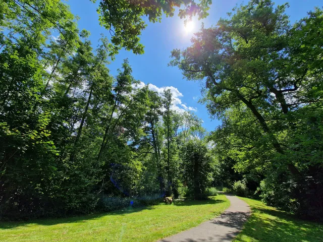 photo-2