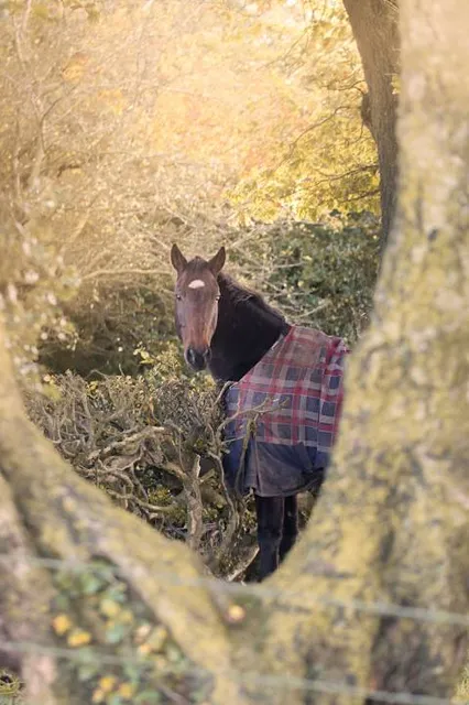 Salto Minas, Ybycuí