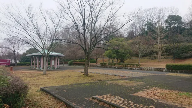 Shirakashikinrin Park