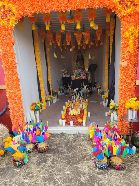 Latino Center of Art and Culture