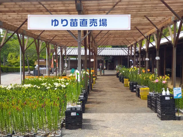 Kasui Yuri-no-sono Lilium Flower Garden