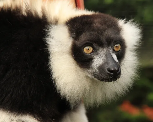 Tropiquaria Wildlife Park