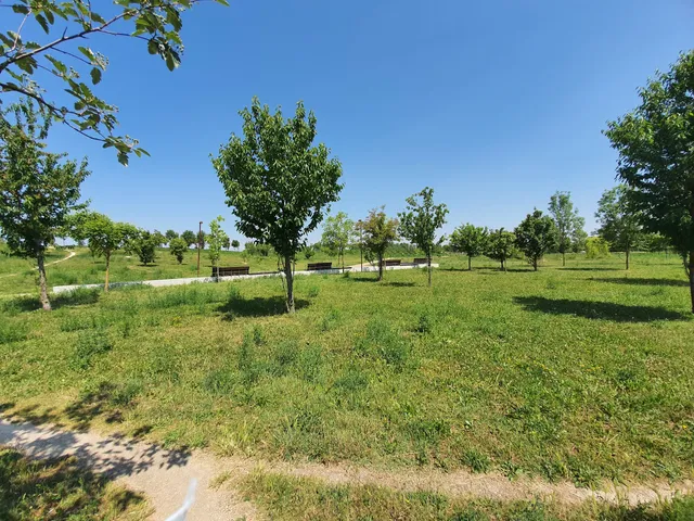 Parco del Passante Verde