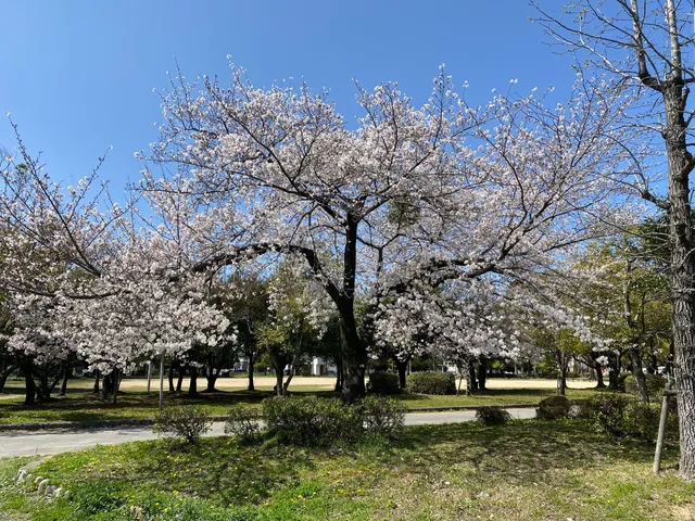 Hikota Park