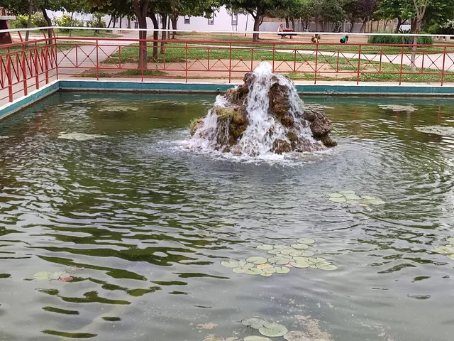 photo-2