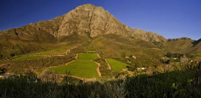 Keermont Vineyards