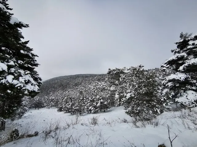 Alto de San Rafael (Altitud 1558 metros)