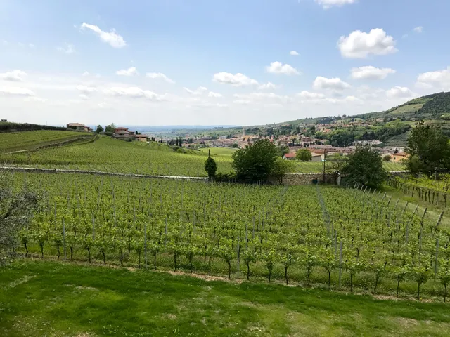 Azienda Agricola DolceVera