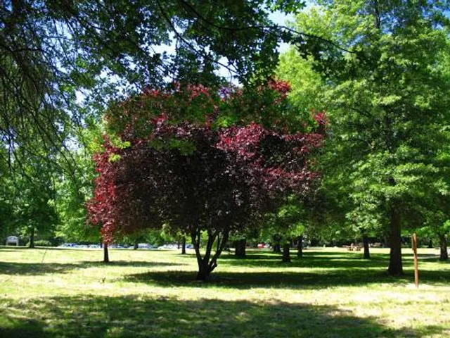 Lewis and Clark State Park