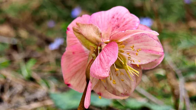 Turistično informacijski center Logarska Dolina