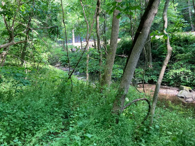Springfield Trail - Papermill Trolley Trailhead