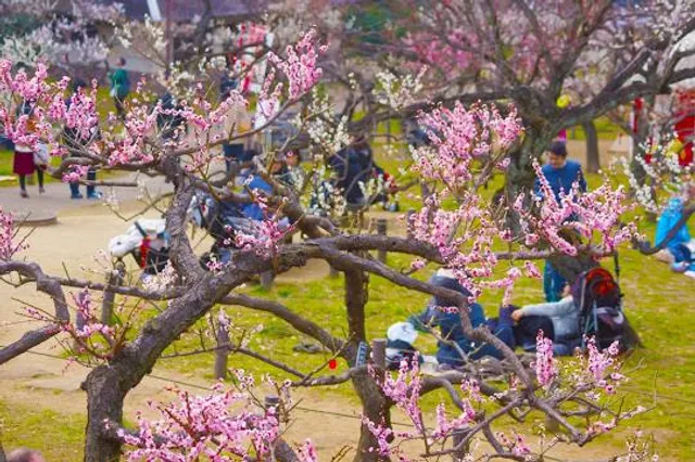 Okurayama Park Plum Grove
