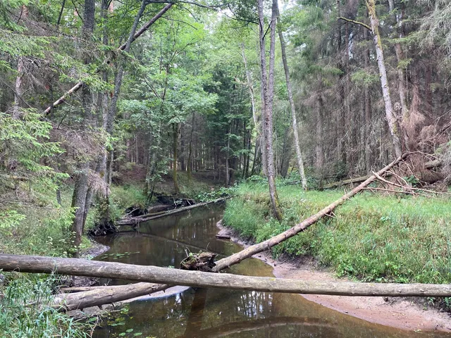 Rīvas loki - dabas pastaigu taka