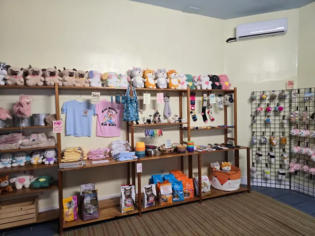 Cat Daddy's Cat Café
