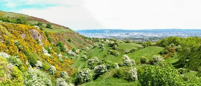 C S Lewis Nature Reserve