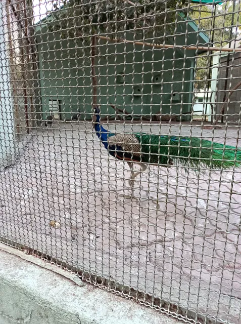 Sarthana Nature Park & Zoo