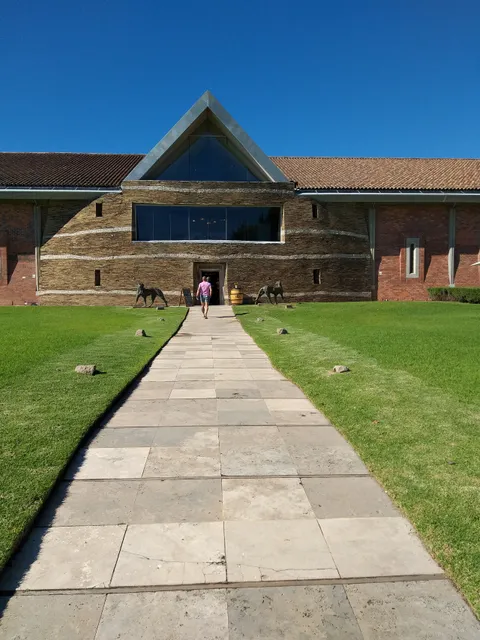 Terra Del Capo - Tasting Room