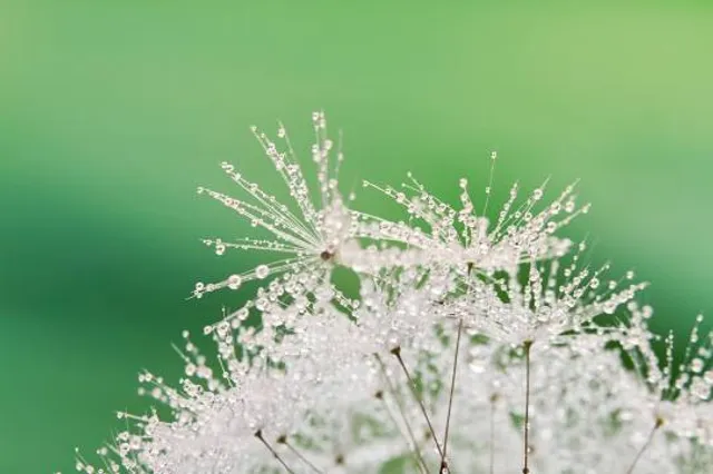 Recreo Ecoturistico Milan