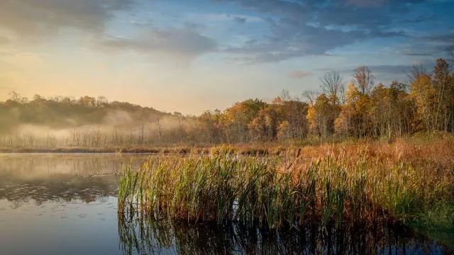 Little Swartswood Lake