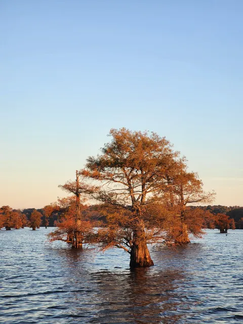 Potter's Point Marina
