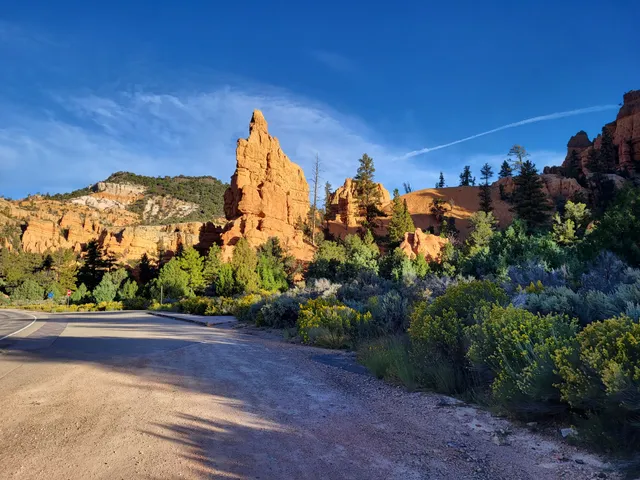 Dixie National Forest
