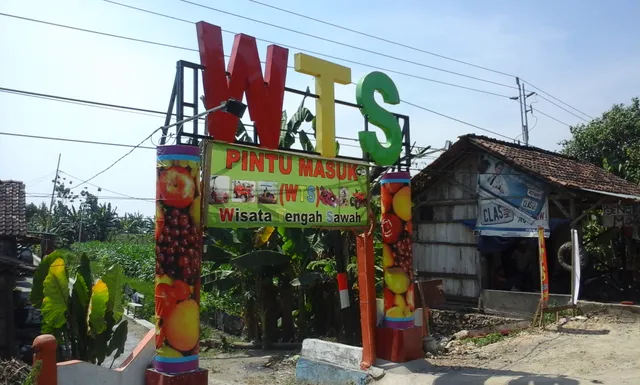 Wisata Tengah Sawah