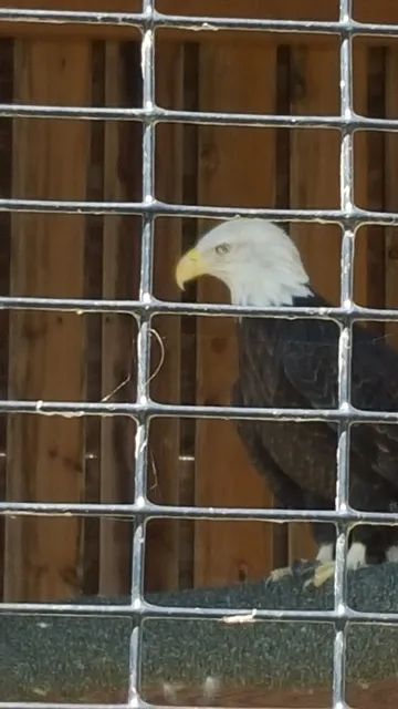 Marshlands Museum & Nature Center