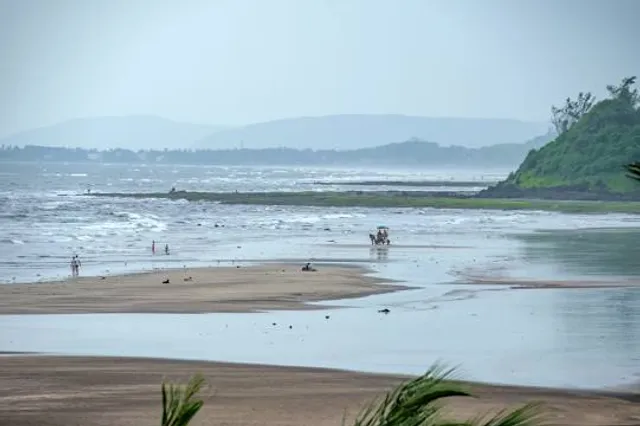 Little White House Historic Site