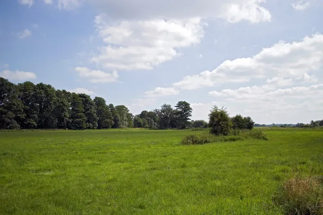 Fischerhuder Wümmeniederung
