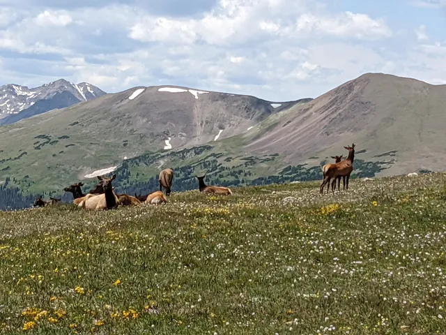 Alpine Ridge Trail