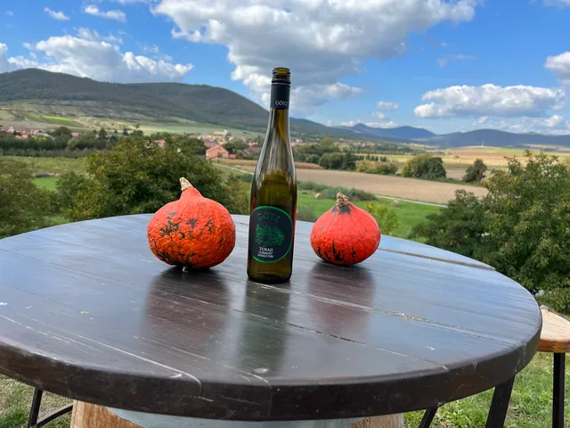 Hellowine (Borindex)