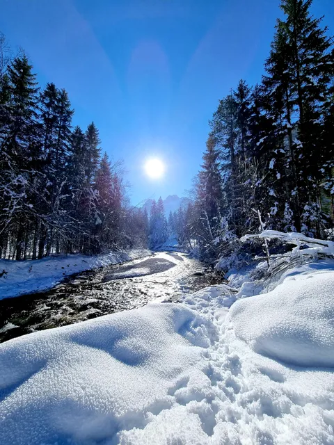 Sentiero degli alberi di risonanza