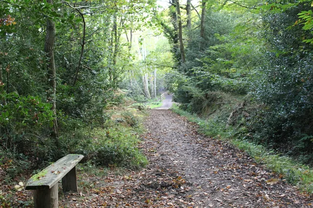 Pamber Forest Nature Reserve