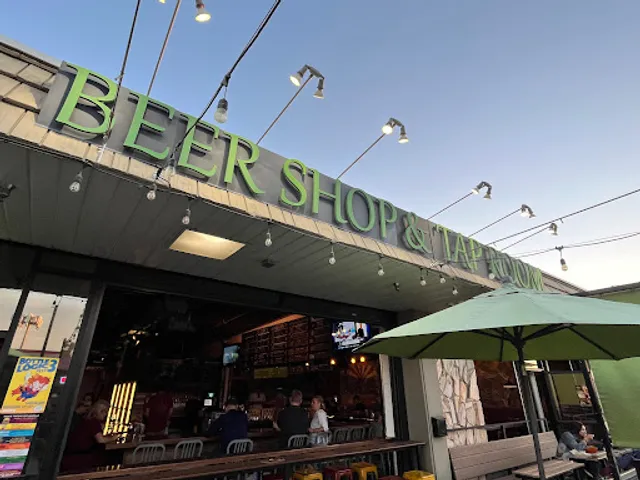 The Wandering Tortoise