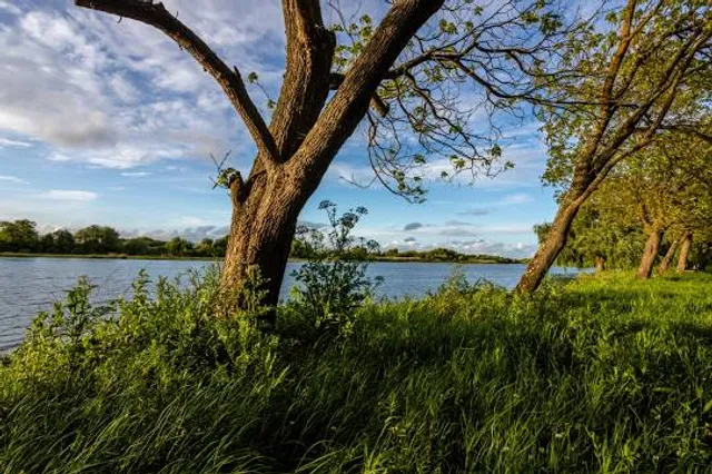 Samu and Nelson's spot