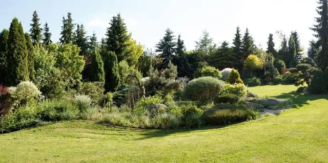 Karaca Arboretum
