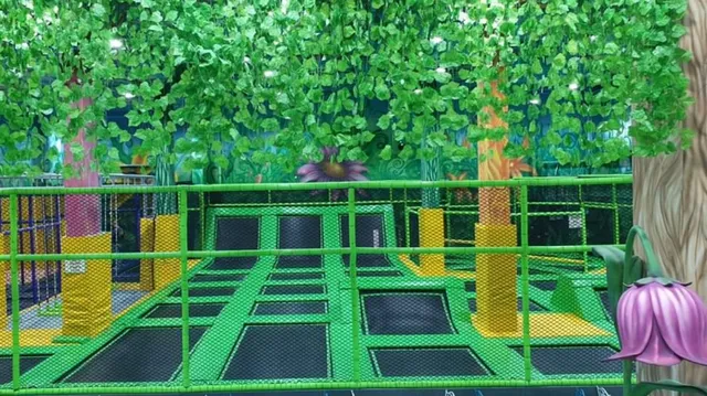 פאנקי מאנקי אשקלון