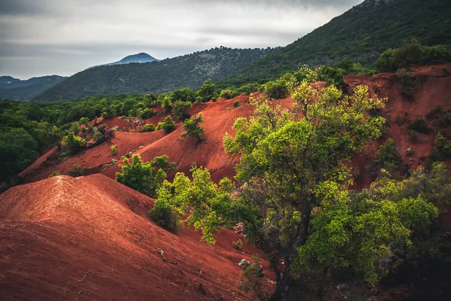 Kokkinopilos Preveza