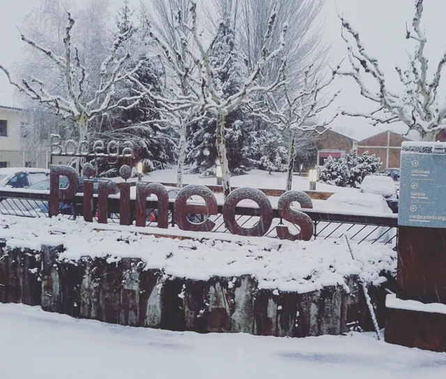 Bodega Pyrenees, S.A.