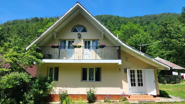 CASA DE VACANTA JULIUS