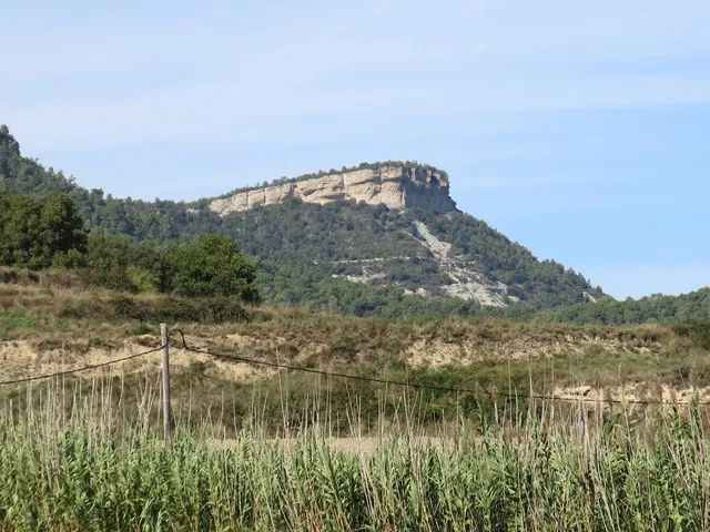 Roc de la Guàrdia (Balenyà)